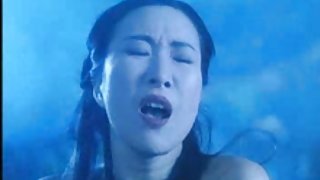 鬍子拉碴的黑白混血兒貓得到色情他媽的