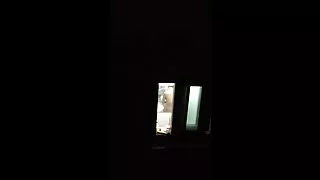 俄羅斯貓對一個強大的成員色情